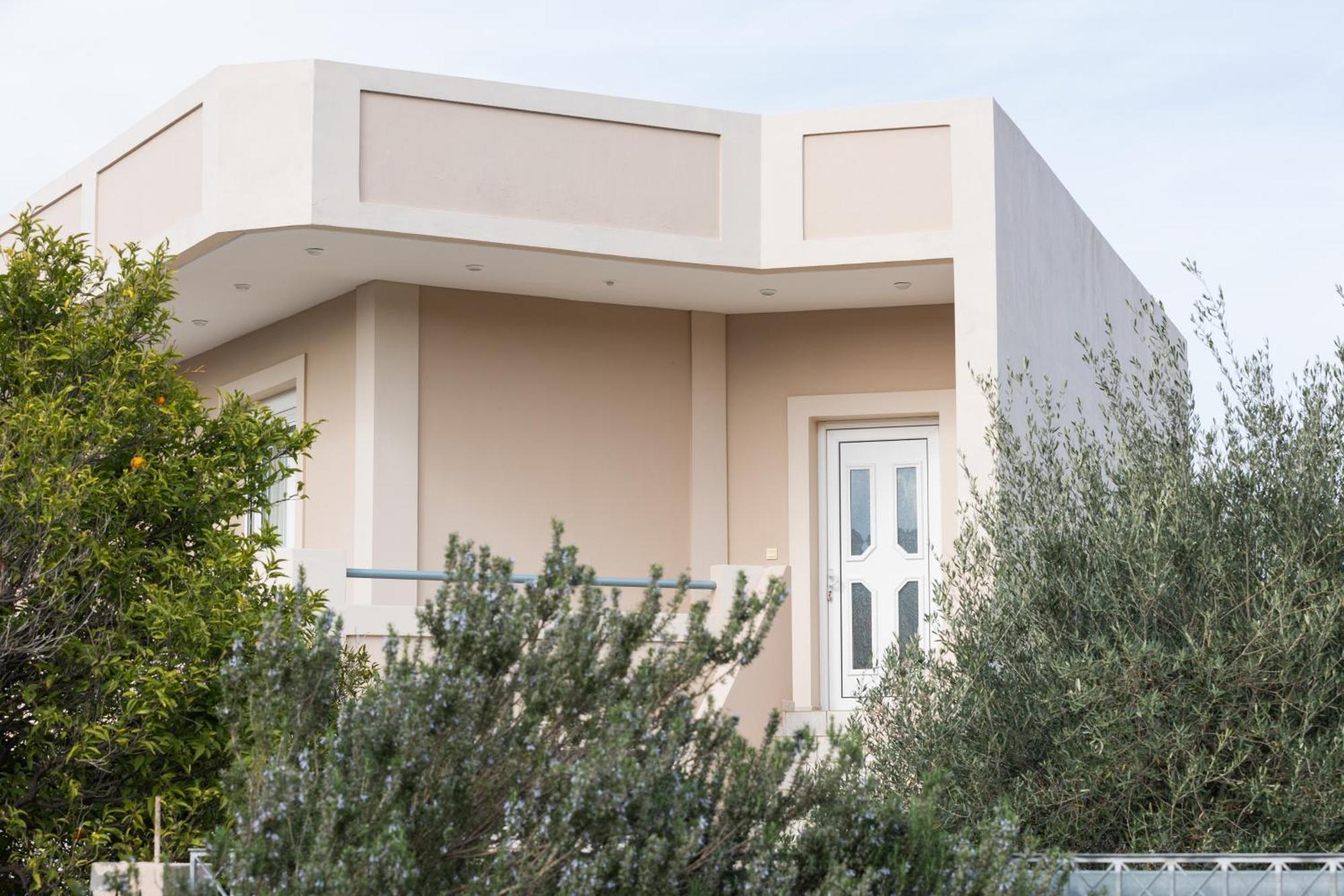 Olive Crete *