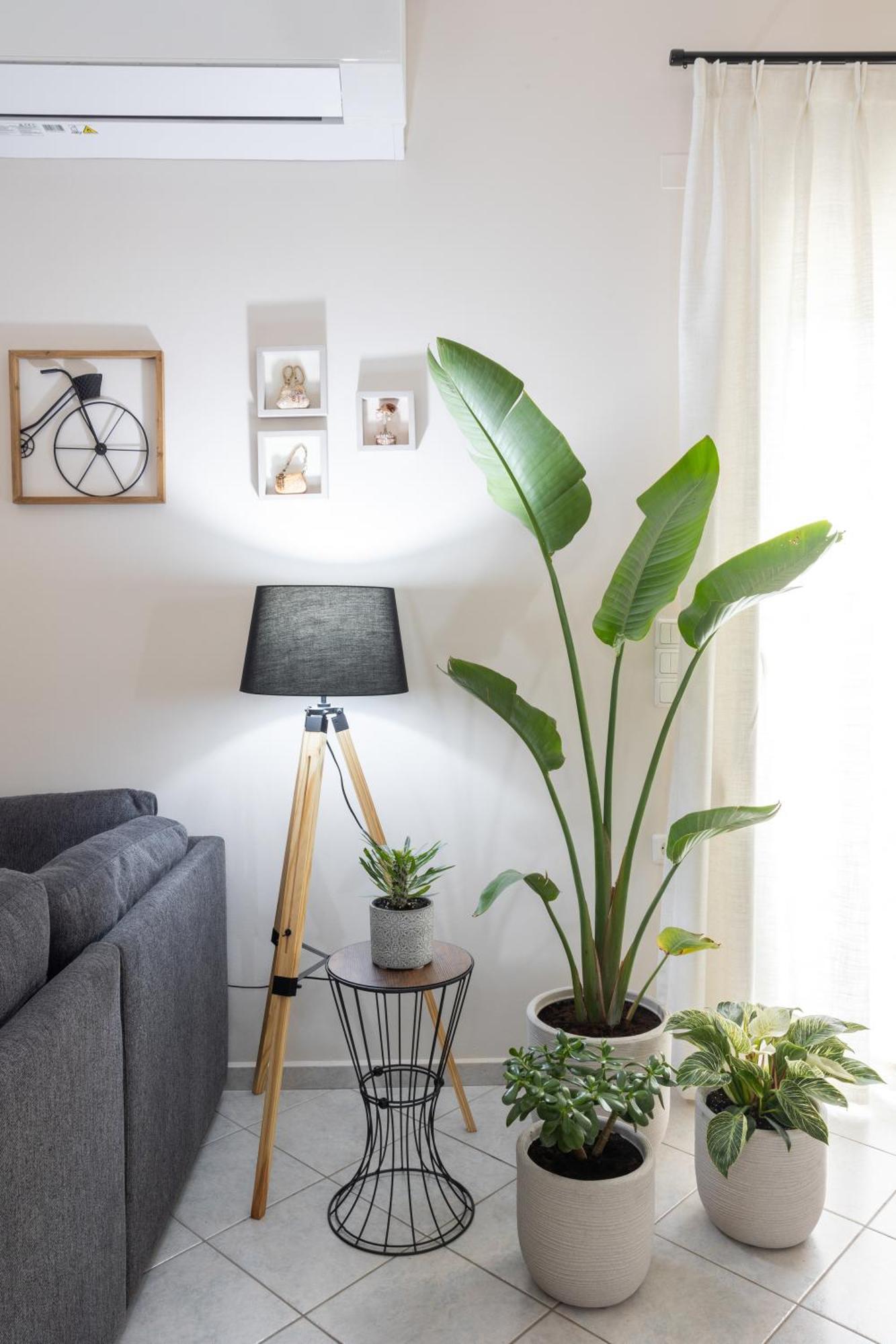 Olive Crete Apartment *